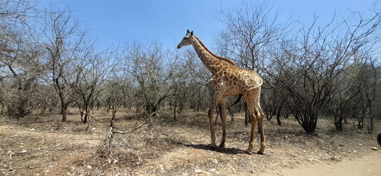 Kruger Riverside Lodge - No Load-Shedding Marloth Park Bagian luar foto