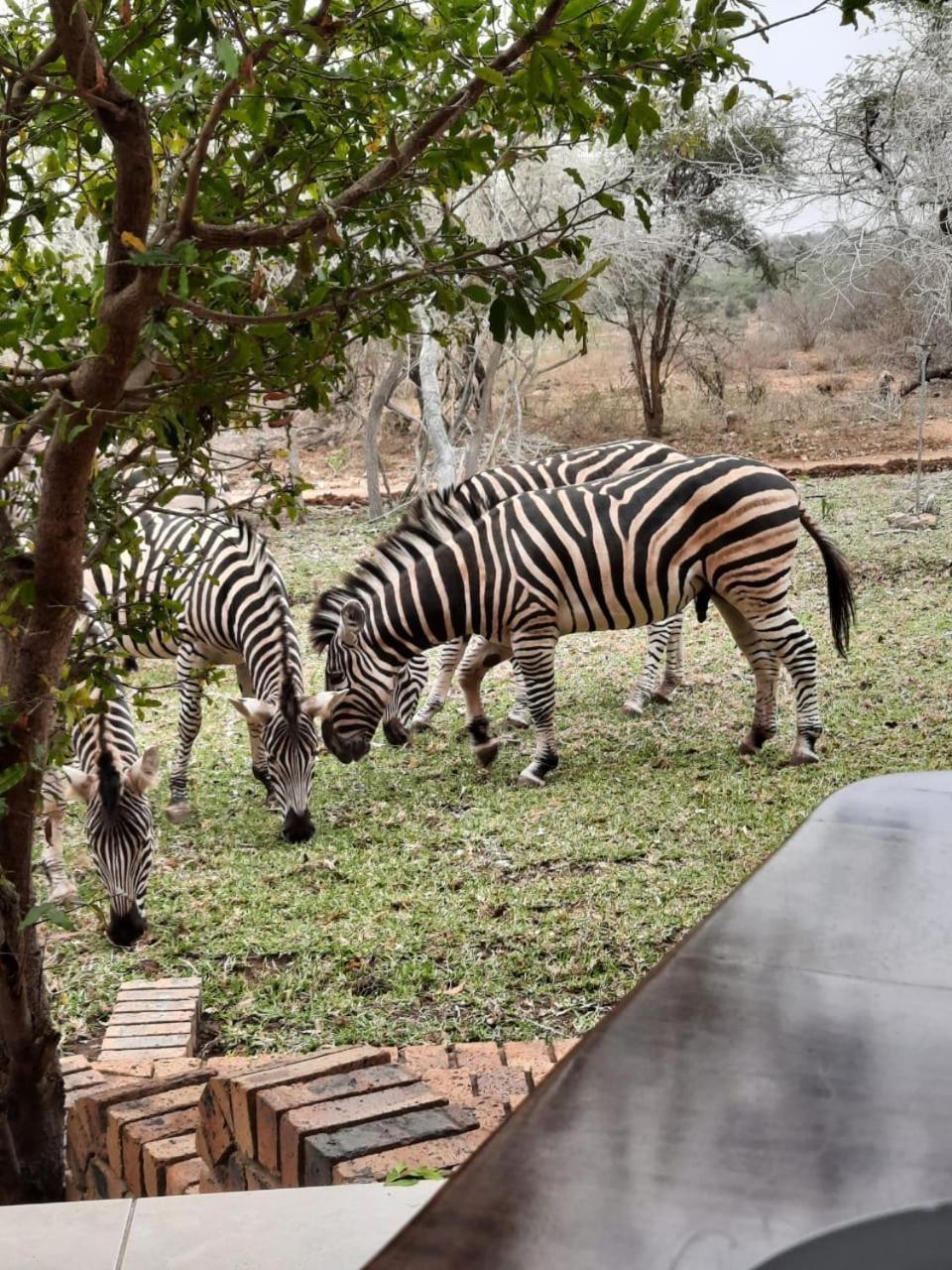 Kruger Riverside Lodge - No Load-Shedding Marloth Park Bagian luar foto