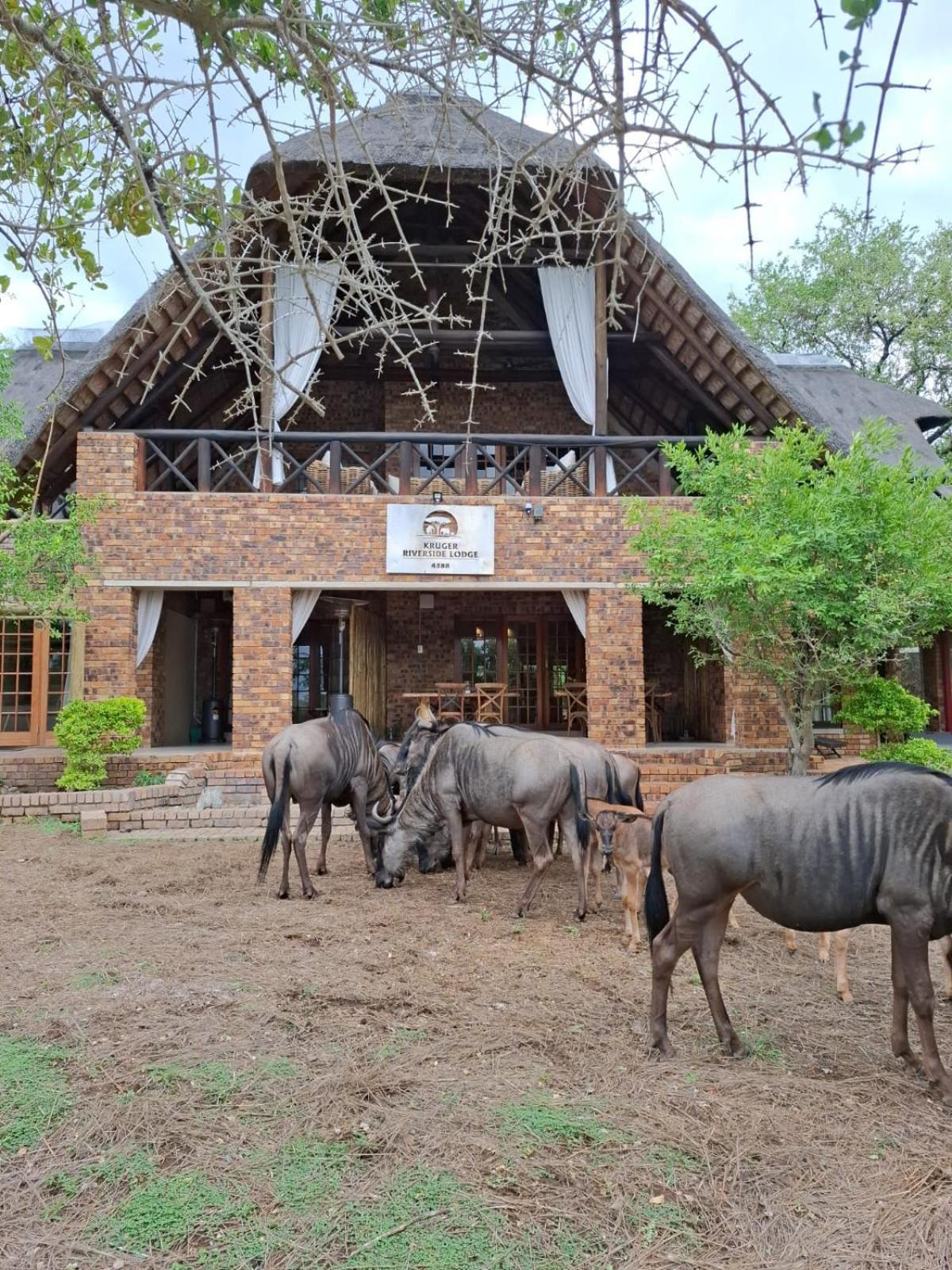 Kruger Riverside Lodge - No Load-Shedding Marloth Park Bagian luar foto