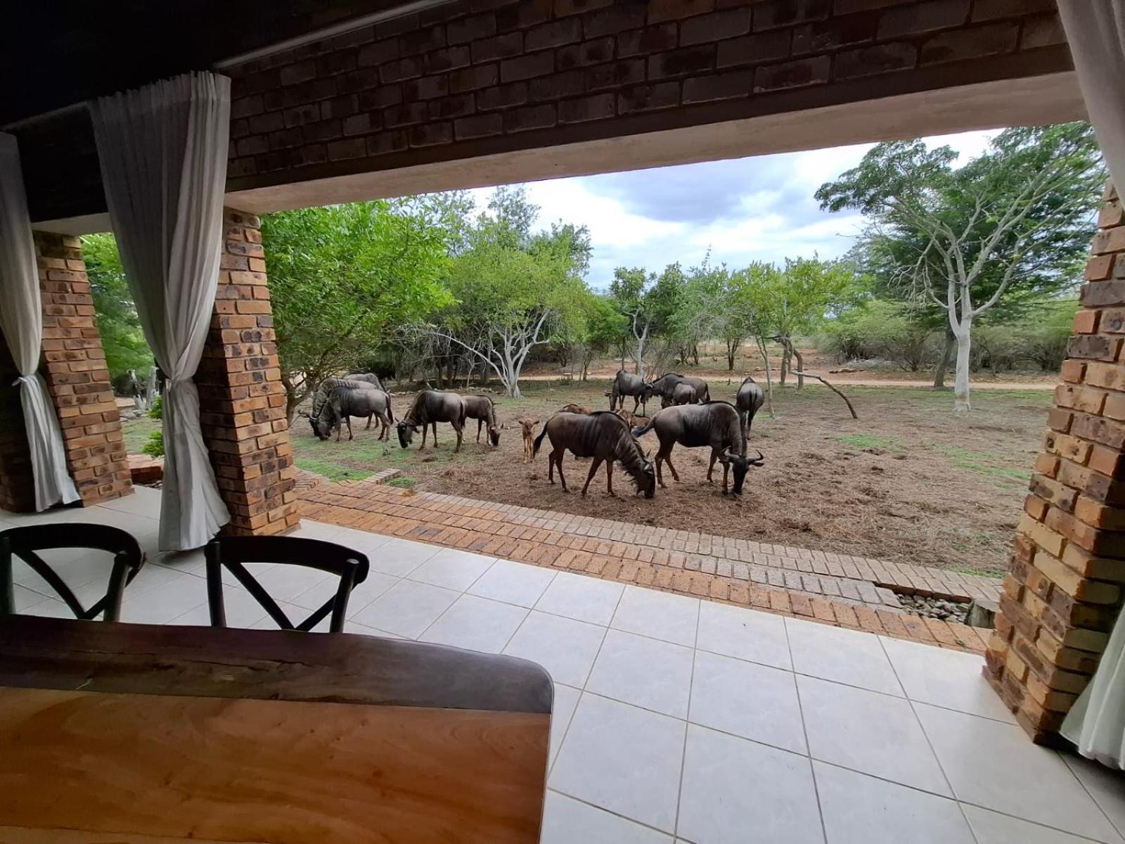 Kruger Riverside Lodge - No Load-Shedding Marloth Park Bagian luar foto