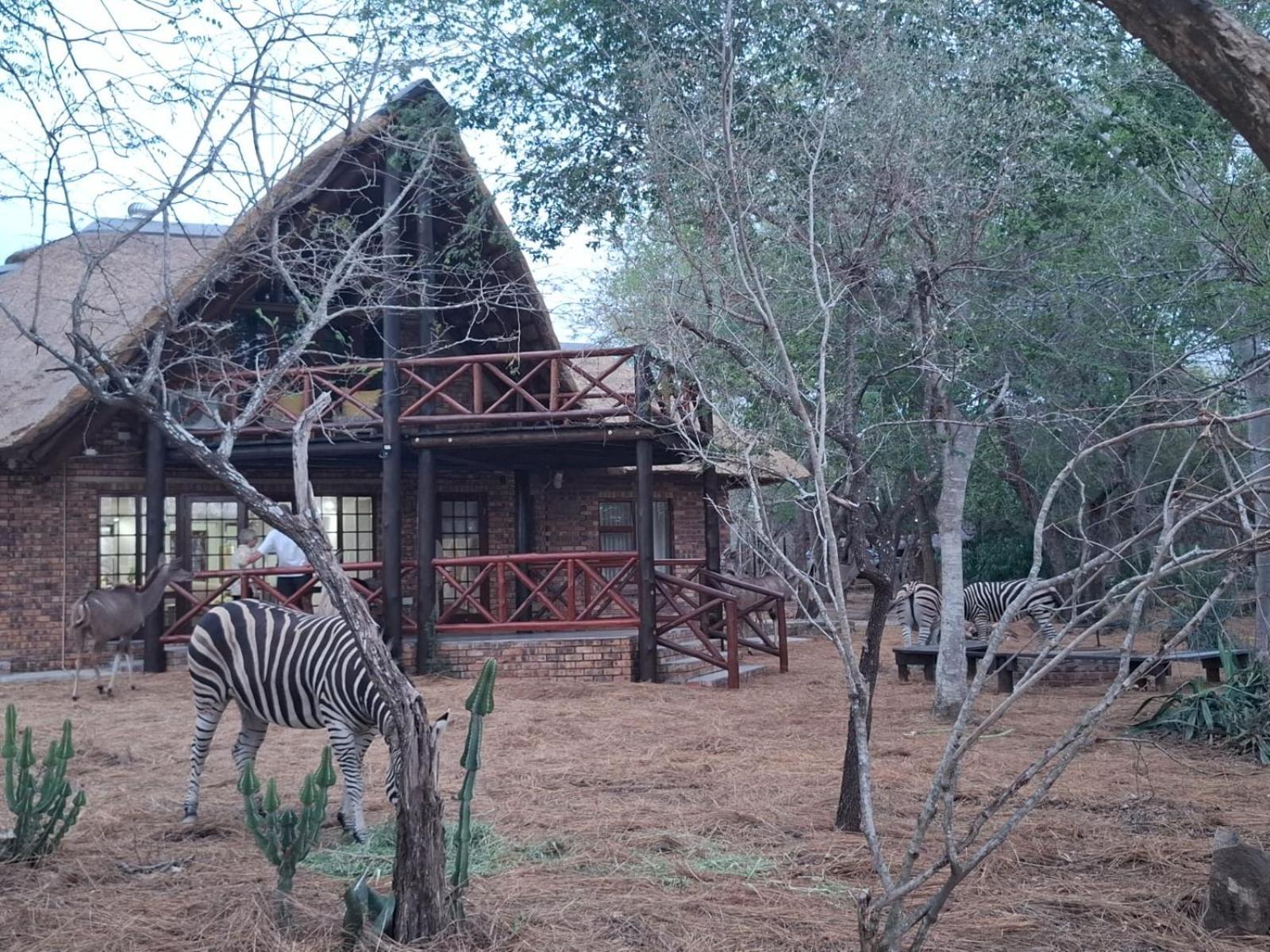 Kruger Riverside Lodge - No Load-Shedding Marloth Park Bagian luar foto