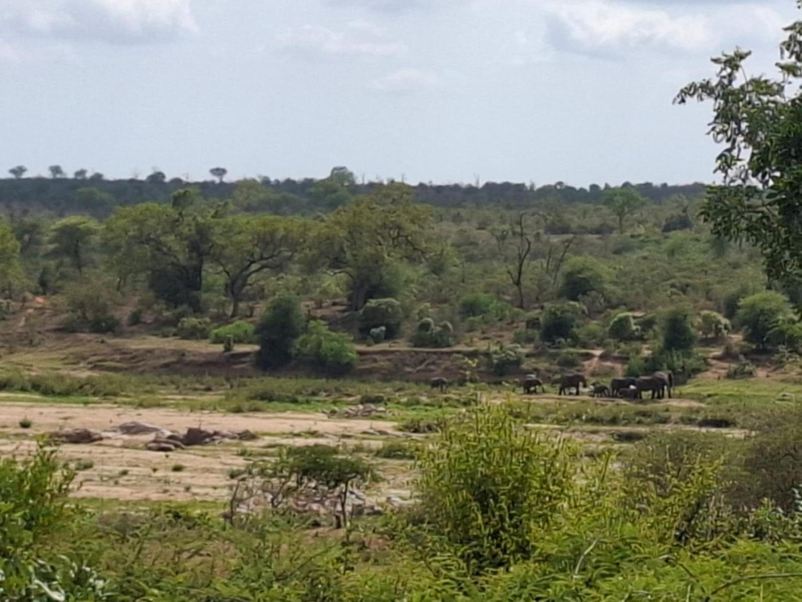Kruger Riverside Lodge - No Load-Shedding Marloth Park Bagian luar foto