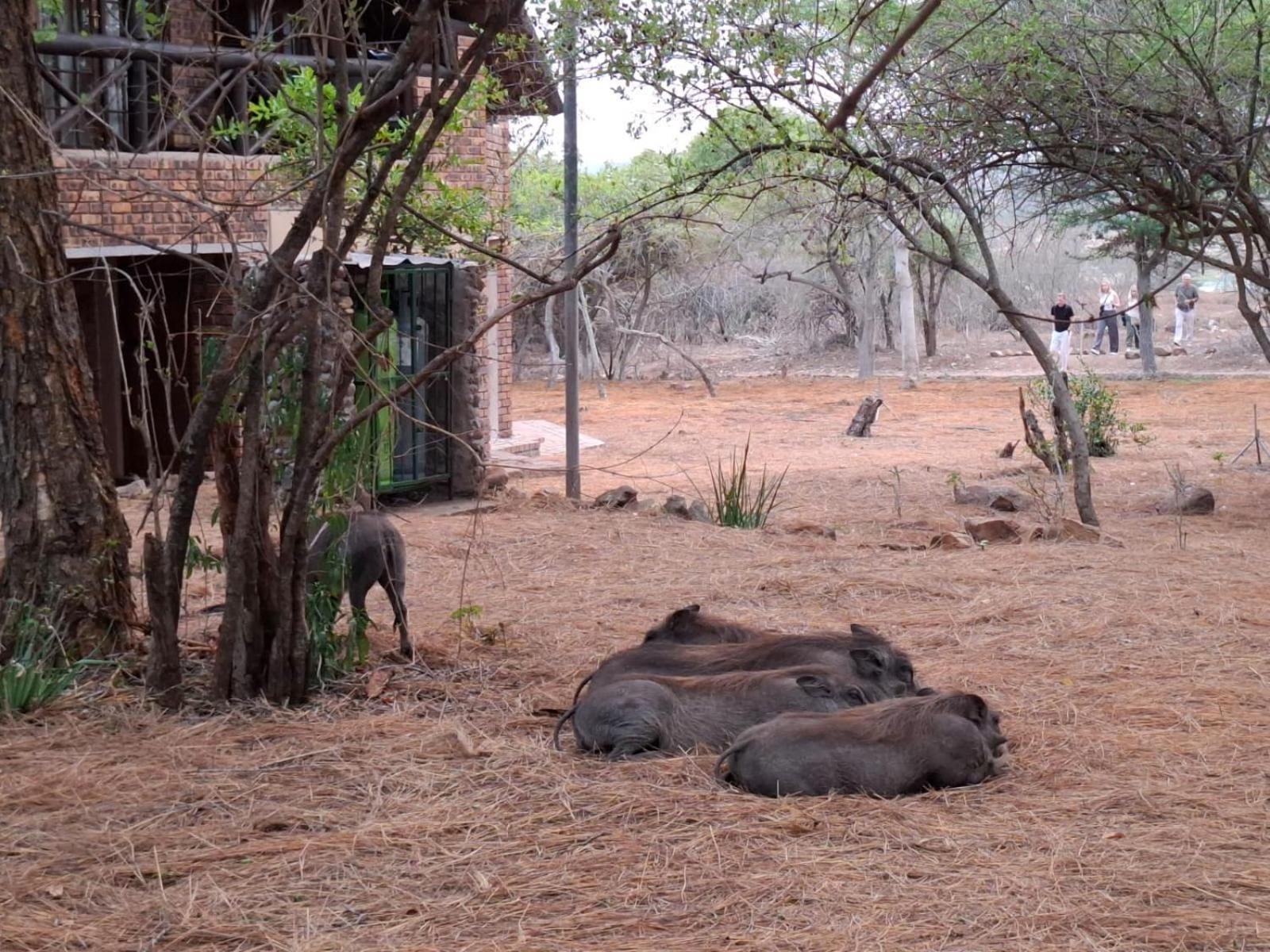 Kruger Riverside Lodge - No Load-Shedding Marloth Park Bagian luar foto