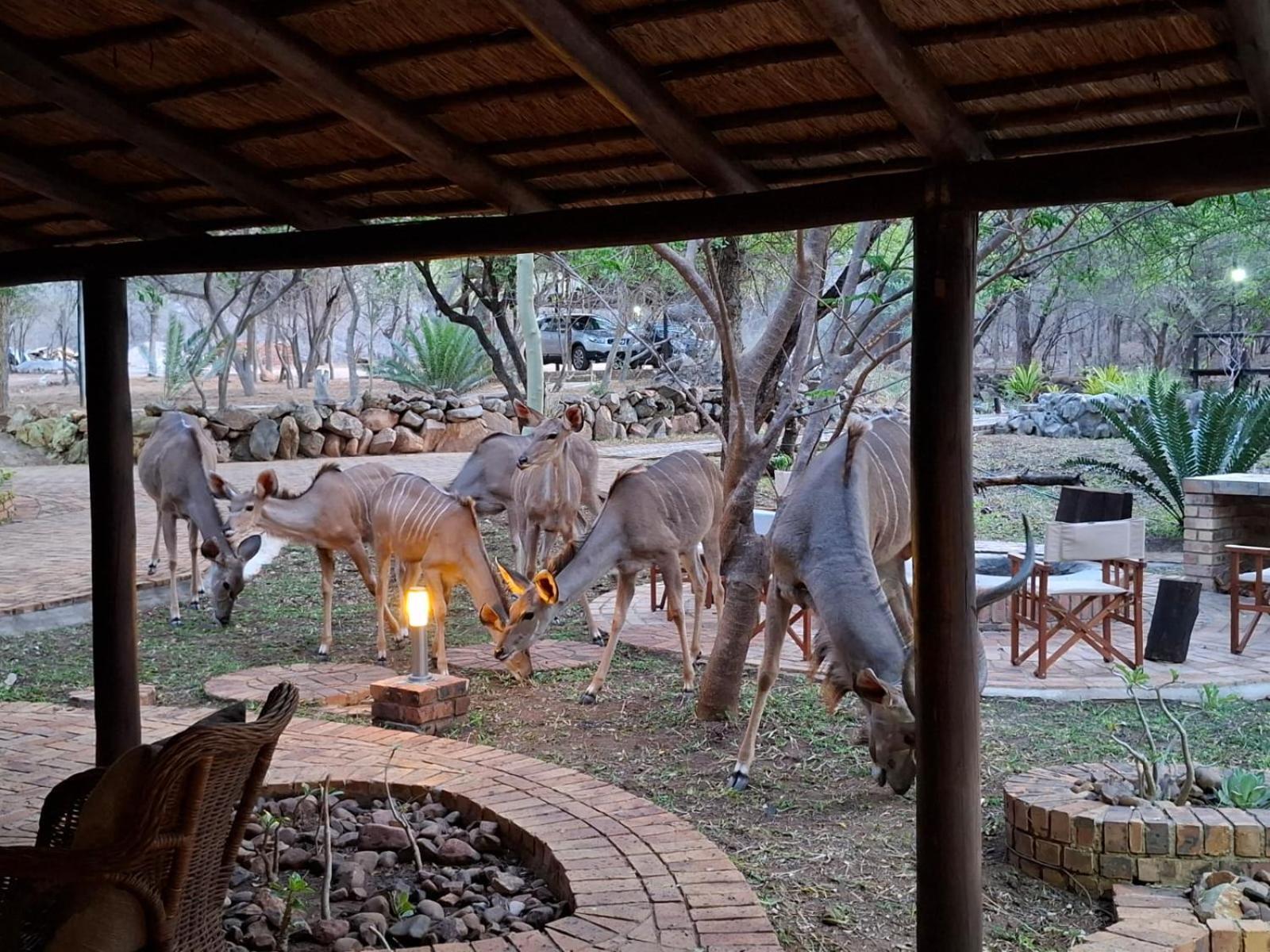 Kruger Riverside Lodge - No Load-Shedding Marloth Park Bagian luar foto