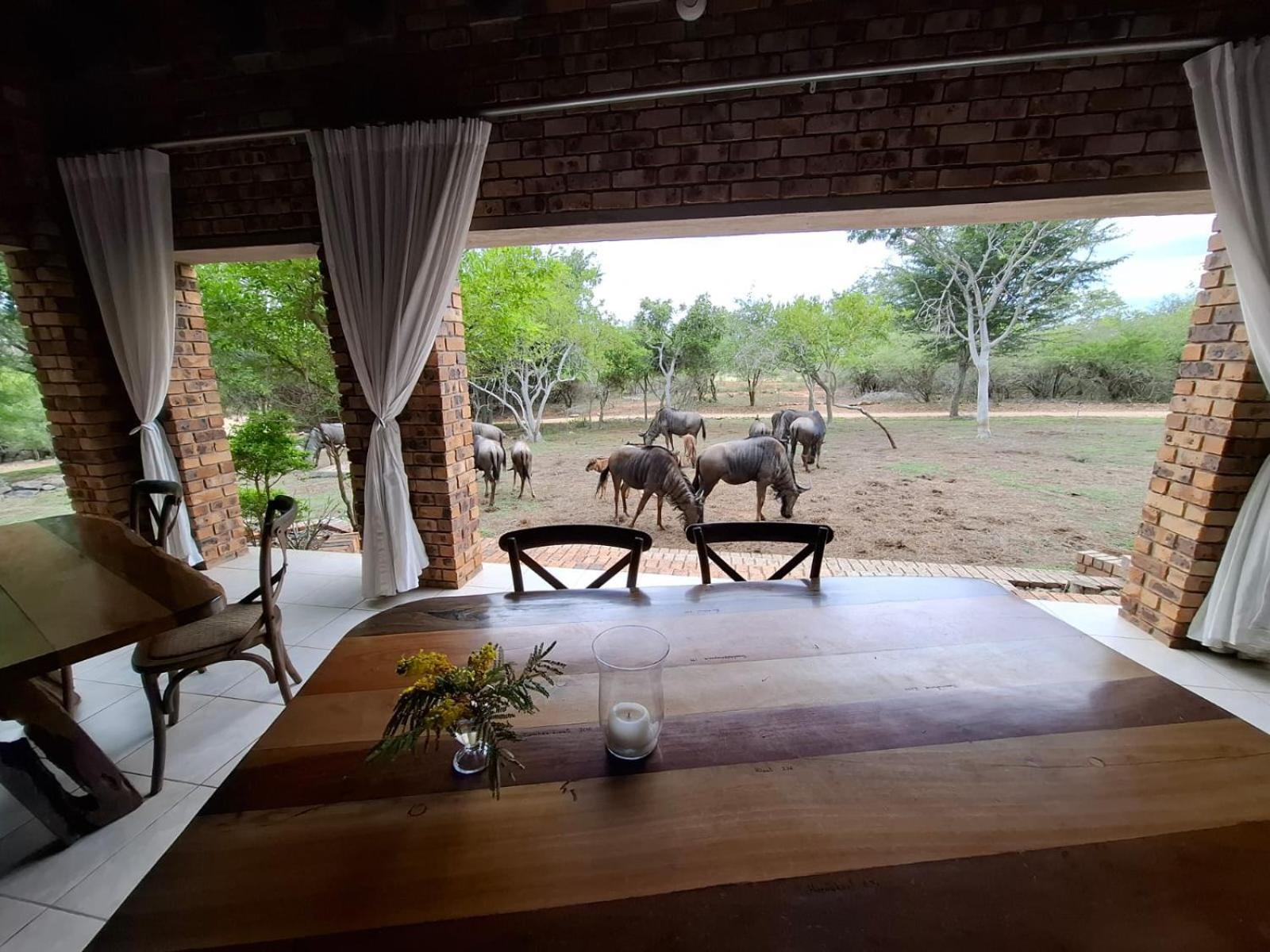 Kruger Riverside Lodge - No Load-Shedding Marloth Park Bagian luar foto
