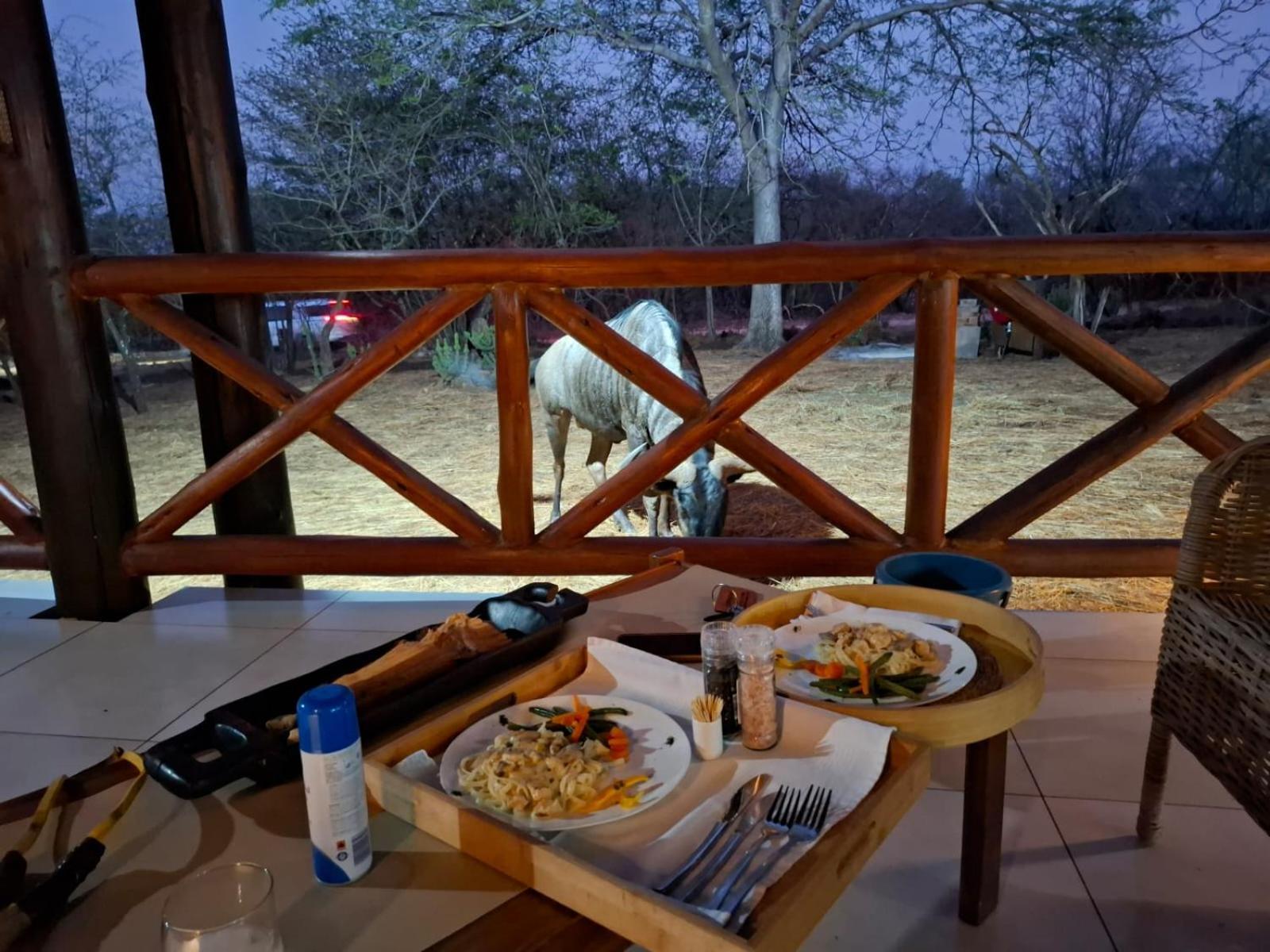 Kruger Riverside Lodge - No Load-Shedding Marloth Park Bagian luar foto